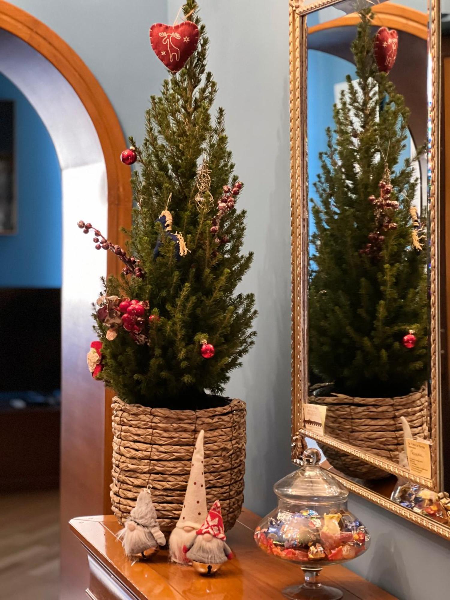 Apartament La Casa Di Efra Rzym Zewnętrze zdjęcie